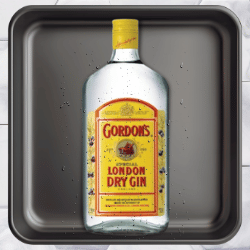 Gordons Gin image 1